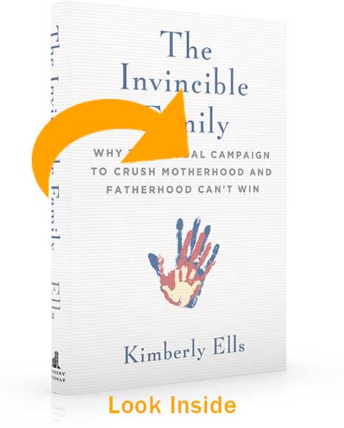 The Invincible Family book preview